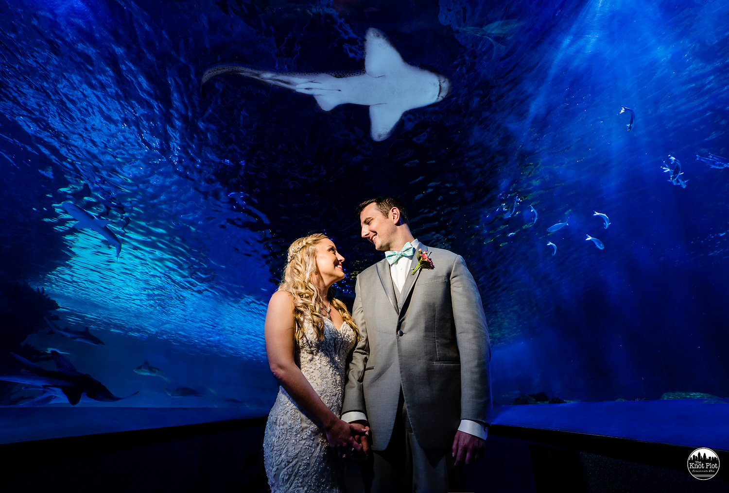 Newport-Aquarium-Wedding-Photos-3